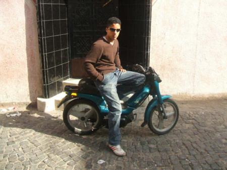 mr salah fox normal